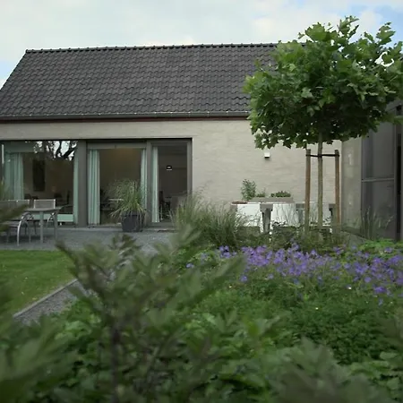 Tartine Bed & Breakfast Puurs